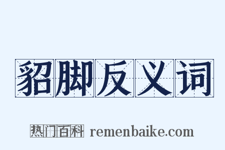 貂脚反义词是什么意思的图片